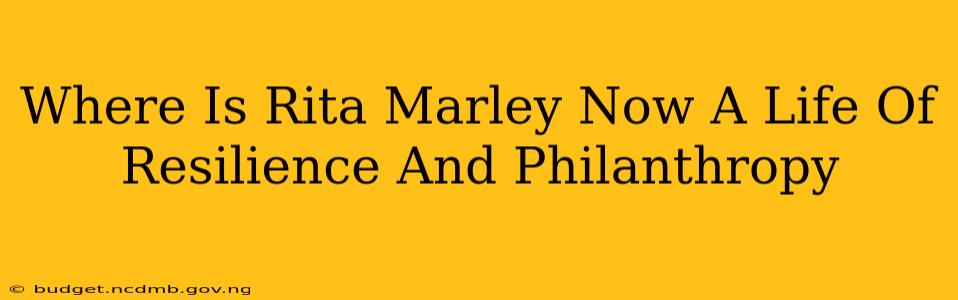 Where Is Rita Marley Now A Life Of Resilience And Philanthropy