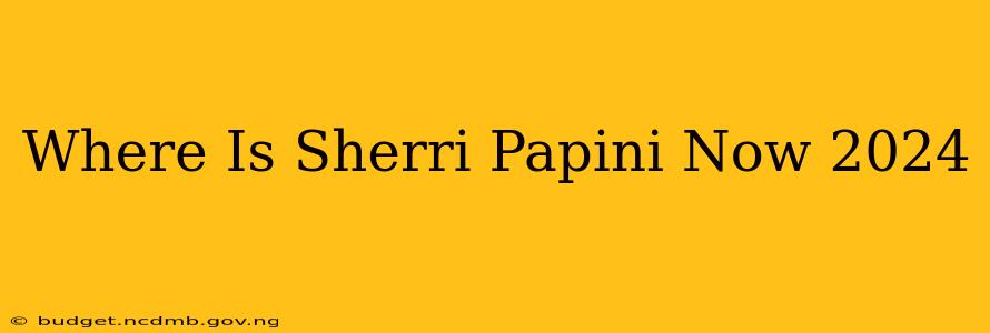 Where Is Sherri Papini Now 2024