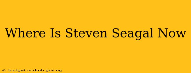Where Is Steven Seagal Now