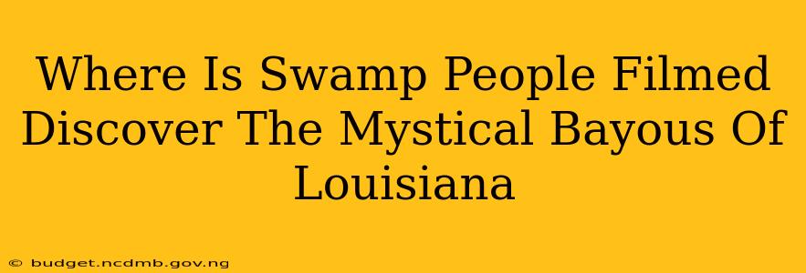 Where Is Swamp People Filmed Discover The Mystical Bayous Of Louisiana
