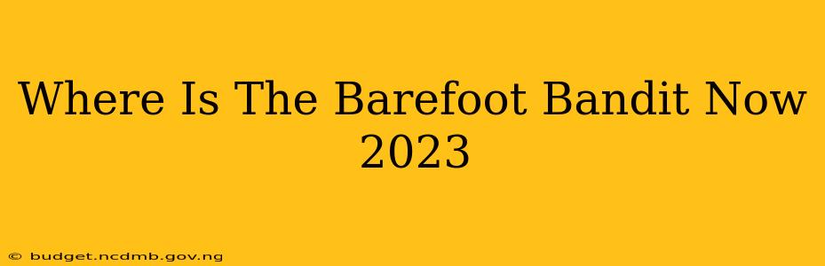 Where Is The Barefoot Bandit Now 2023
