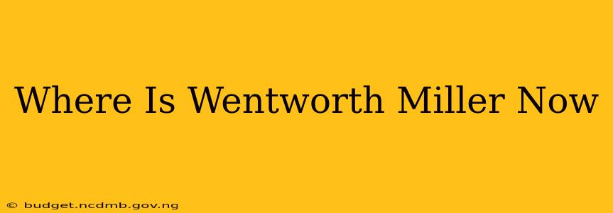 Where Is Wentworth Miller Now