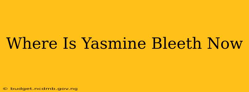 Where Is Yasmine Bleeth Now