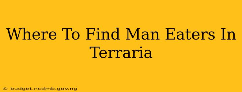 Where To Find Man Eaters In Terraria