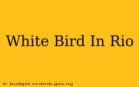 White Bird In Rio
