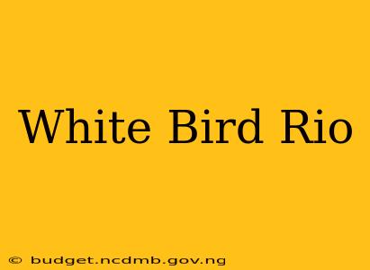 White Bird Rio
