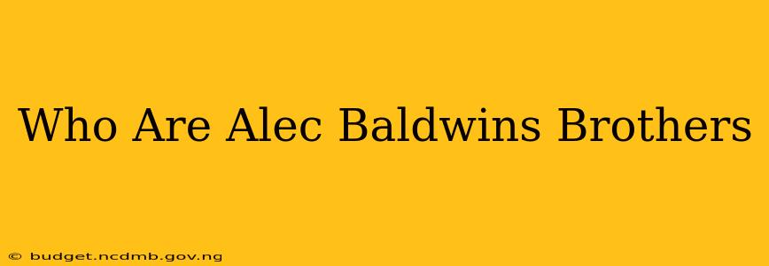 Who Are Alec Baldwins Brothers