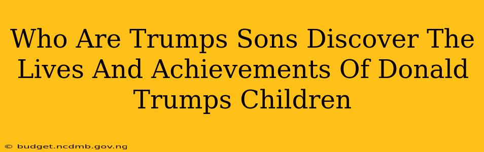 Who Are Trumps Sons Discover The Lives And Achievements Of Donald Trumps Children