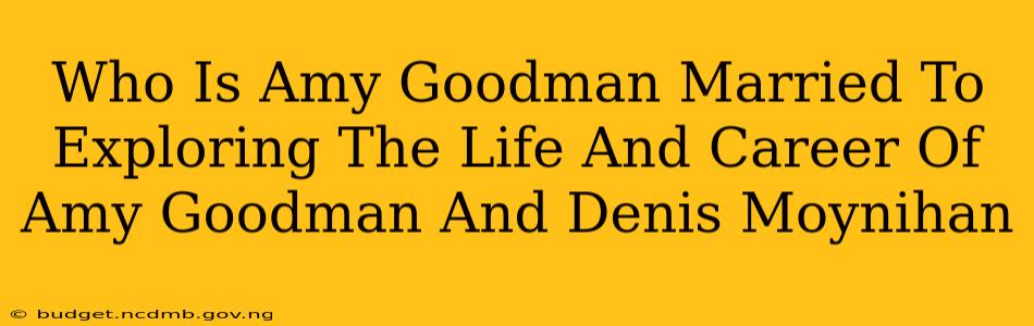 Who Is Amy Goodman Married To Exploring The Life And Career Of Amy Goodman And Denis Moynihan
