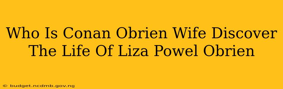 Who Is Conan Obrien Wife Discover The Life Of Liza Powel Obrien