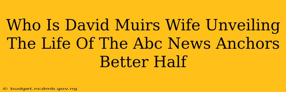 Who Is David Muirs Wife Unveiling The Life Of The Abc News Anchors Better Half