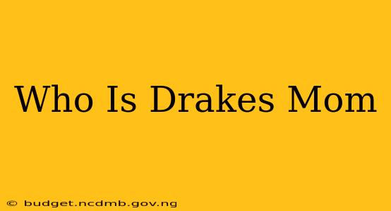 Who Is Drakes Mom