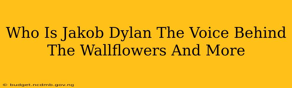 Who Is Jakob Dylan The Voice Behind The Wallflowers And More