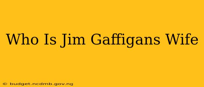 Who Is Jim Gaffigans Wife