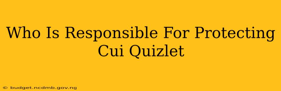 Who Is Responsible For Protecting Cui Quizlet