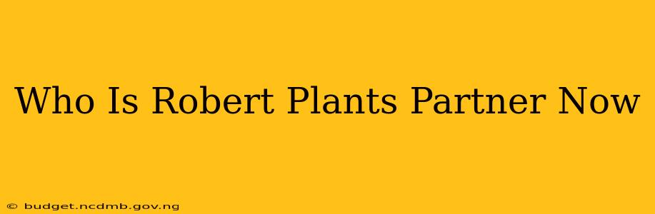 Who Is Robert Plants Partner Now