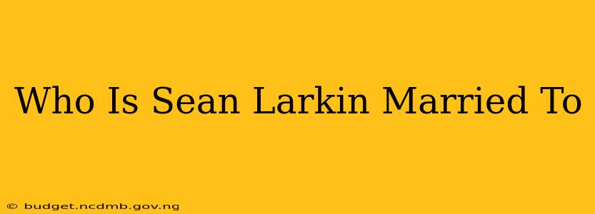 Who Is Sean Larkin Married To