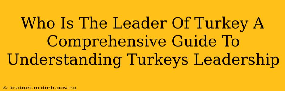 Who Is The Leader Of Turkey A Comprehensive Guide To Understanding Turkeys Leadership