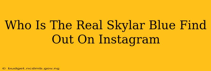 Who Is The Real Skylar Blue Find Out On Instagram