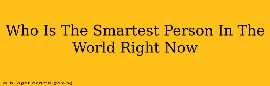 Who Is The Smartest Person In The World Right Now