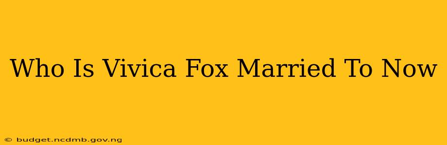 Who Is Vivica Fox Married To Now