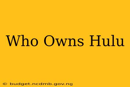 Who Owns Hulu