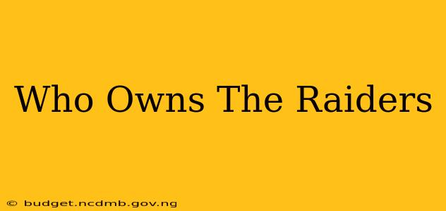 Who Owns The Raiders