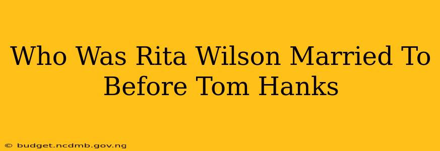 Who Was Rita Wilson Married To Before Tom Hanks