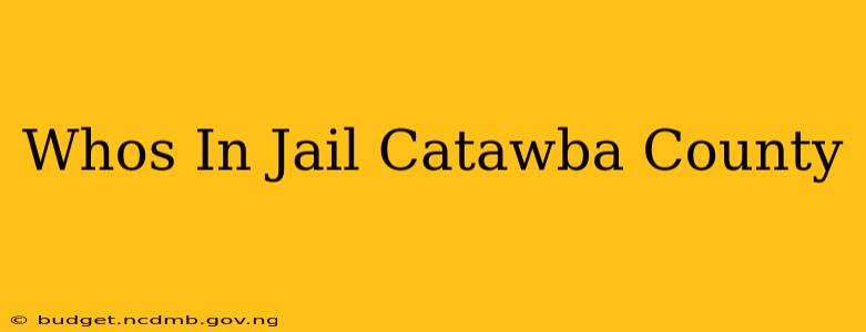 Whos In Jail Catawba County