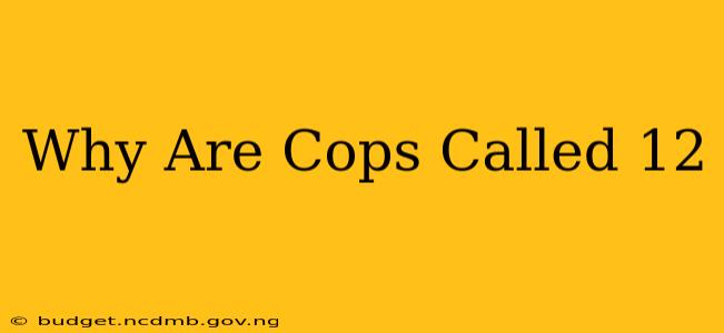 Why Are Cops Called 12