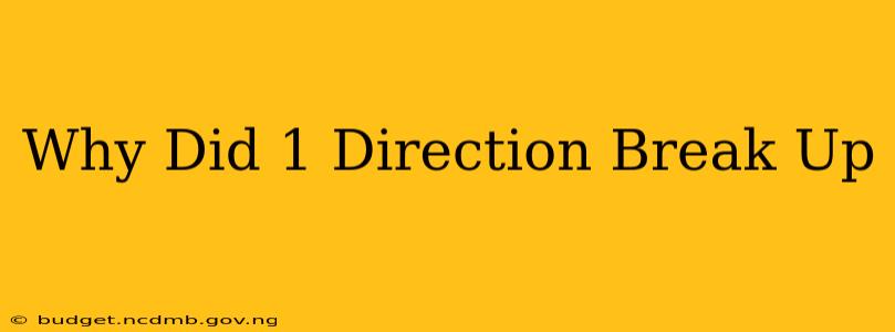 Why Did 1 Direction Break Up