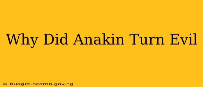 Why Did Anakin Turn Evil