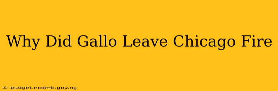 Why Did Gallo Leave Chicago Fire