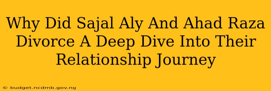 Why Did Sajal Aly And Ahad Raza Divorce A Deep Dive Into Their Relationship Journey