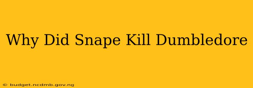 Why Did Snape Kill Dumbledore