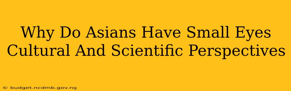 Why Do Asians Have Small Eyes Cultural And Scientific Perspectives