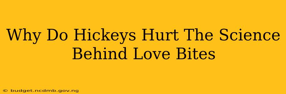 Why Do Hickeys Hurt The Science Behind Love Bites