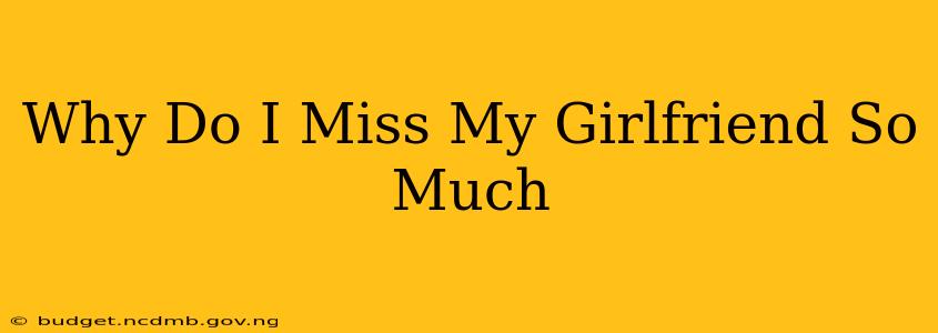 Why Do I Miss My Girlfriend So Much