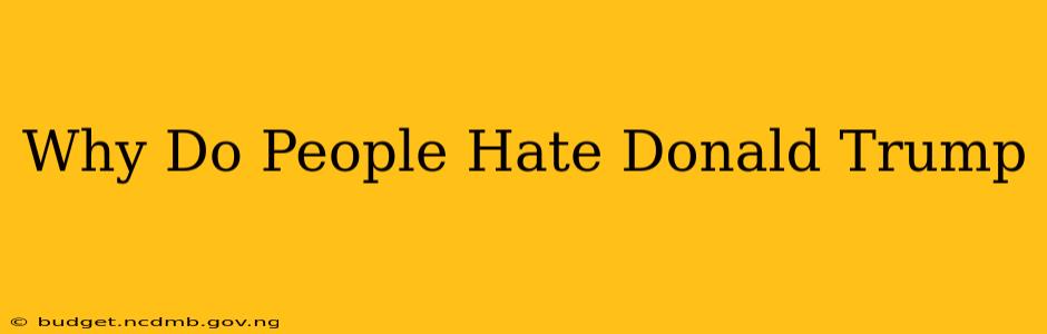 Why Do People Hate Donald Trump