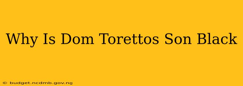 Why Is Dom Torettos Son Black