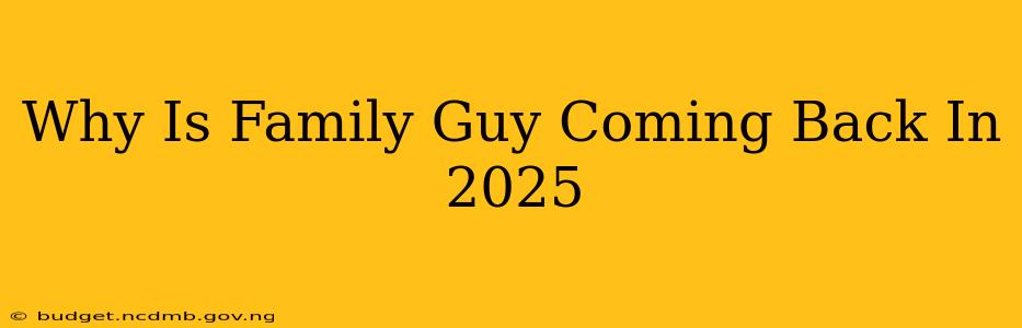 Why Is Family Guy Coming Back In 2025