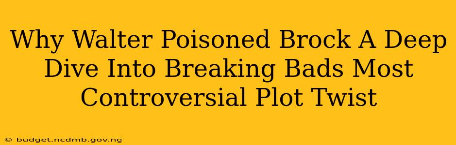 Why Walter Poisoned Brock A Deep Dive Into Breaking Bads Most Controversial Plot Twist