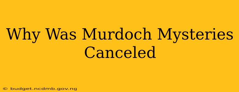 Why Was Murdoch Mysteries Canceled
