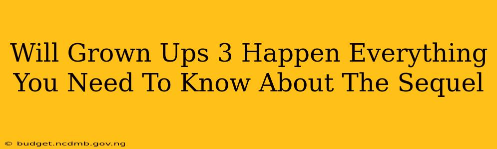 Will Grown Ups 3 Happen Everything You Need To Know About The Sequel
