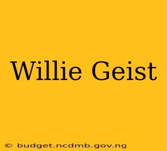 Willie Geist