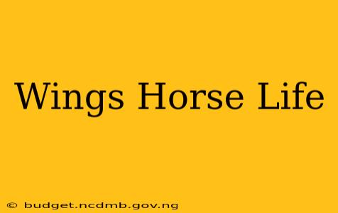 Wings Horse Life