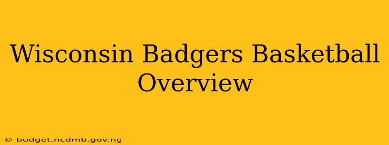 Wisconsin Badgers Basketball Overview