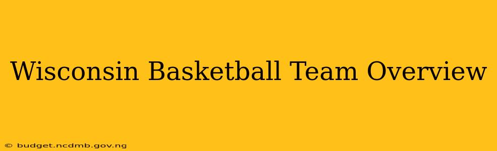 Wisconsin Basketball Team Overview