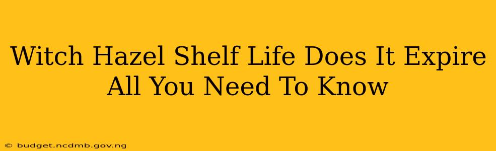 Witch Hazel Shelf Life Does It Expire All You Need To Know