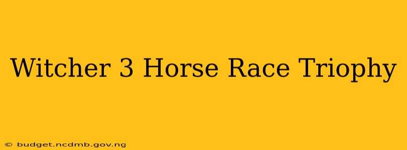 Witcher 3 Horse Race Triophy